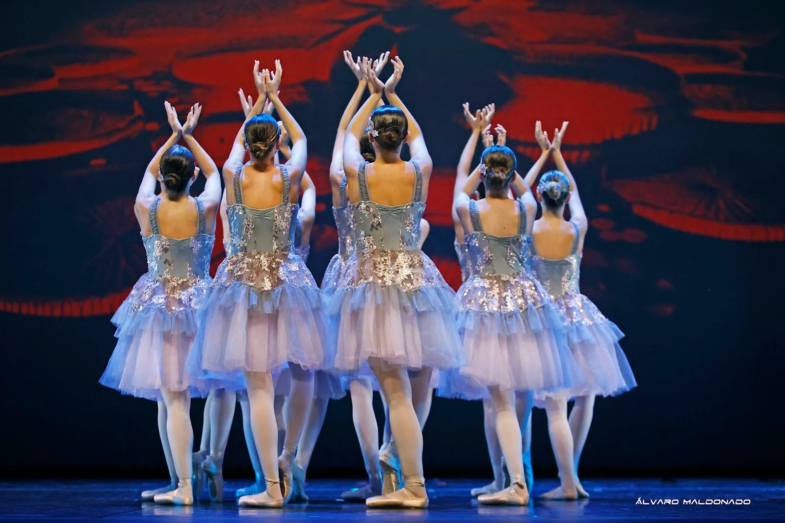 Punta Portals Dance Academy — baile-studio en Calvià — 2