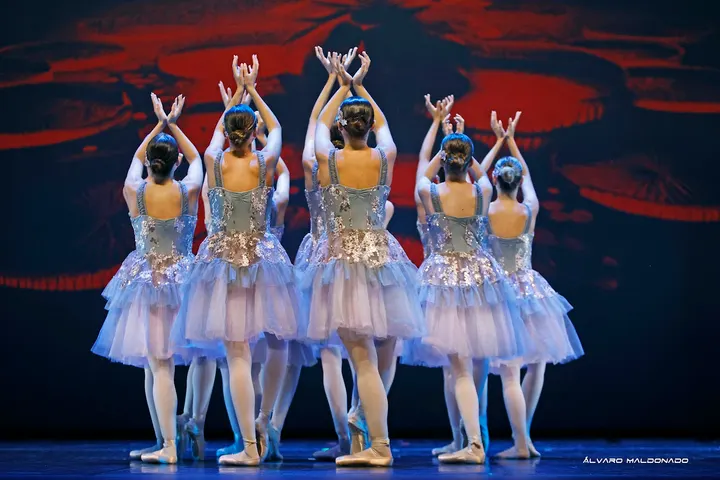 Punta Portals Dance Academy — baile-studio en Portals Nous, Palma — 2