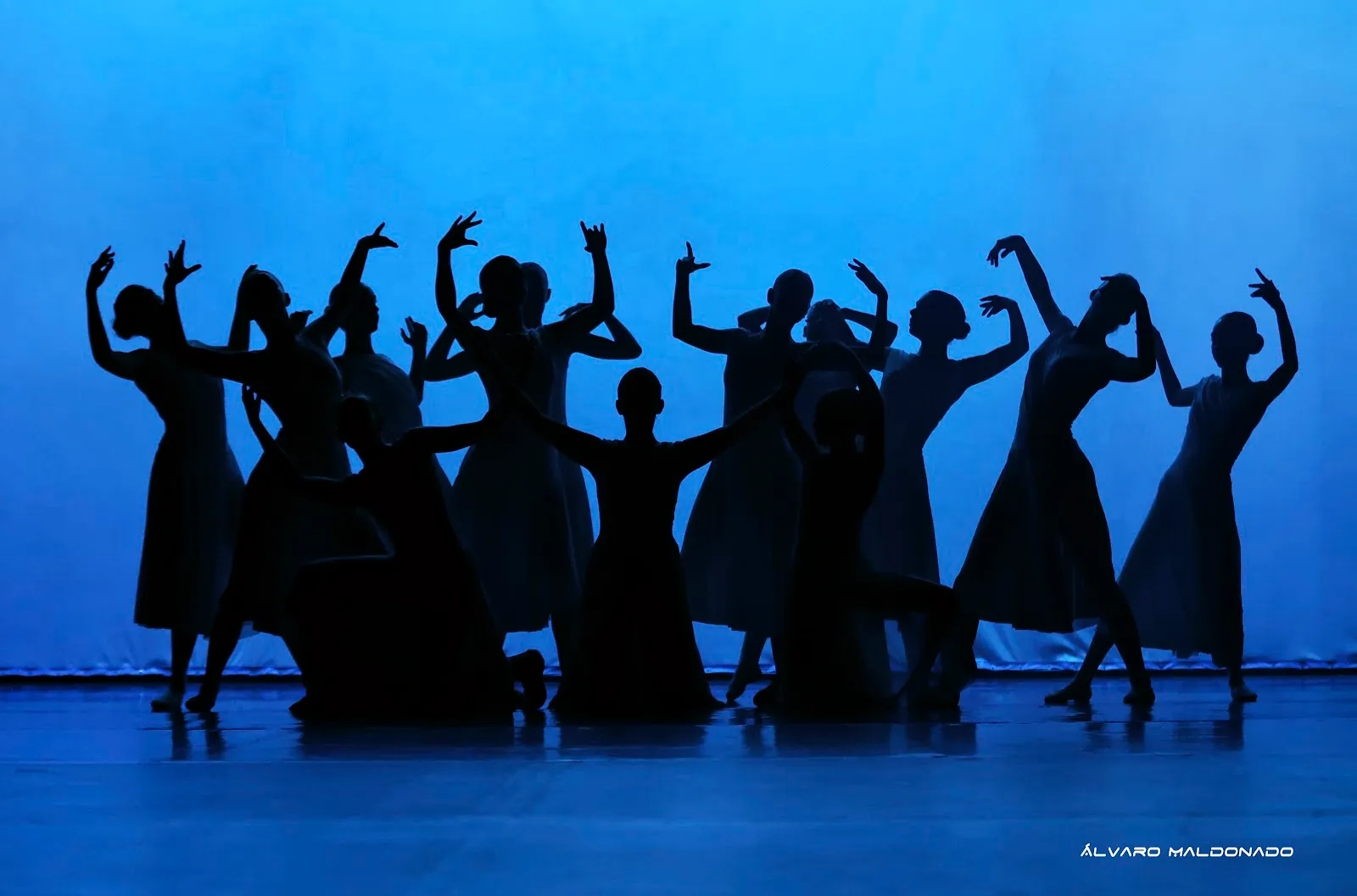 Punta Portals Dance Academy — baile-studio en Calvià — 3