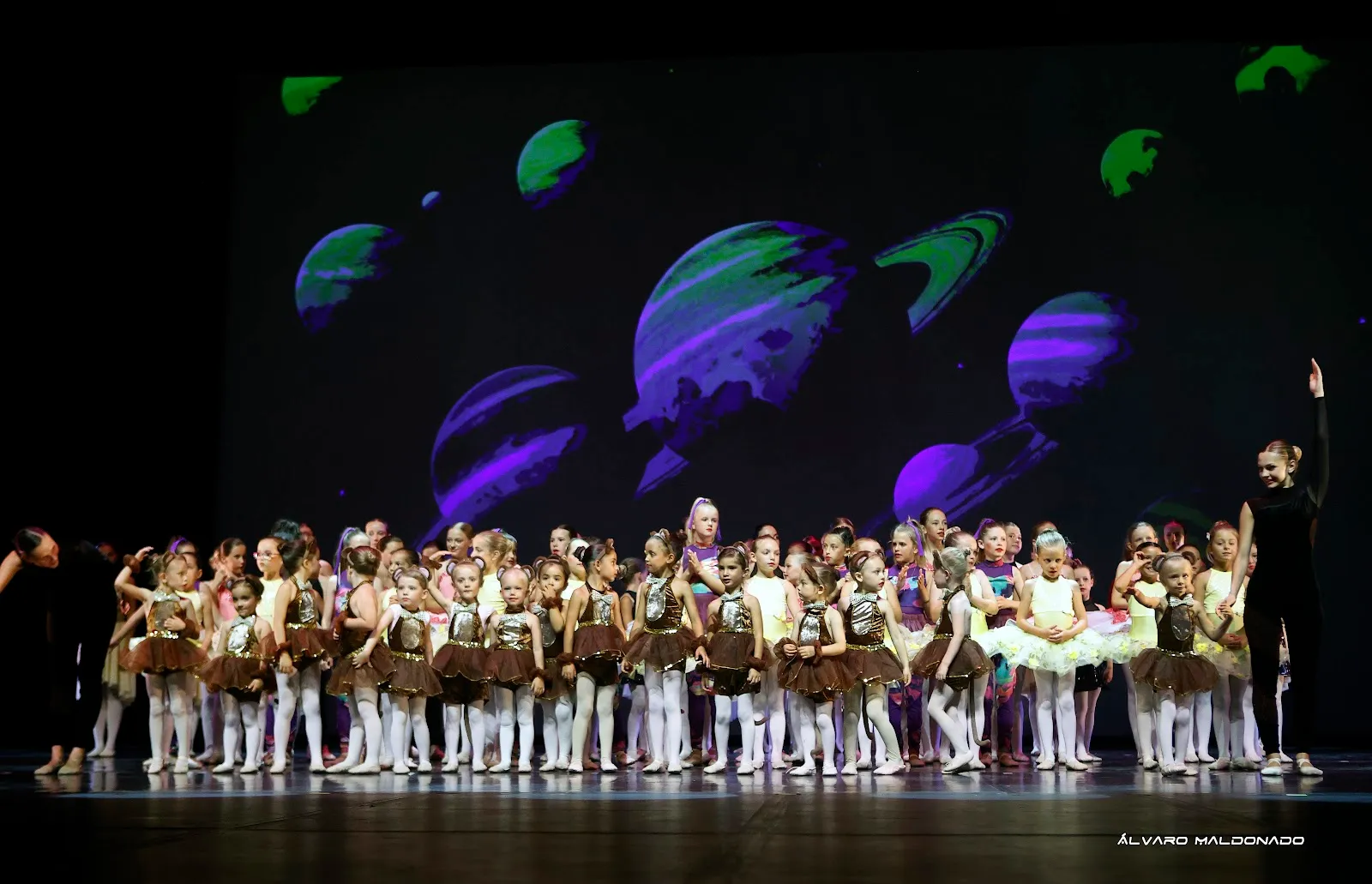 Punta Portals Dance Academy — baile-studio en Calvià — 3