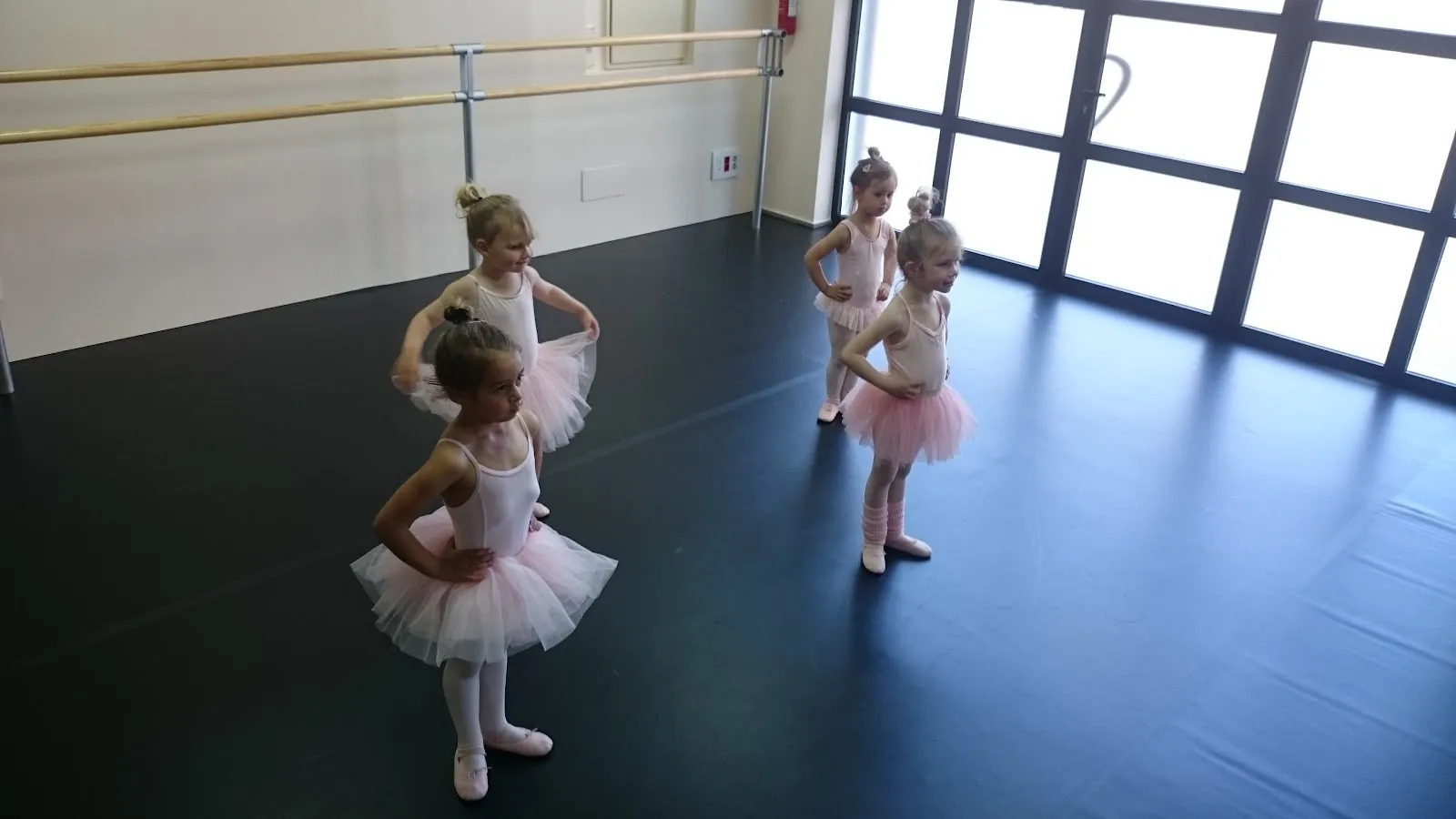 Punta Portals Dance Academy — baile-studio en Calvià — 5