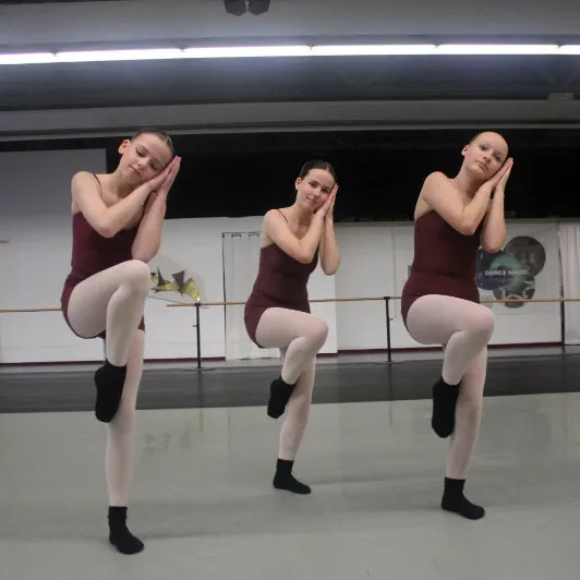 De Dansacker — dans-studio in Pijnacker — 5