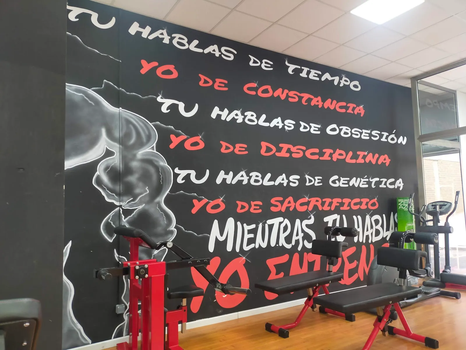 Osfit — fuerza-studio en Riba-roja de Túria — 5