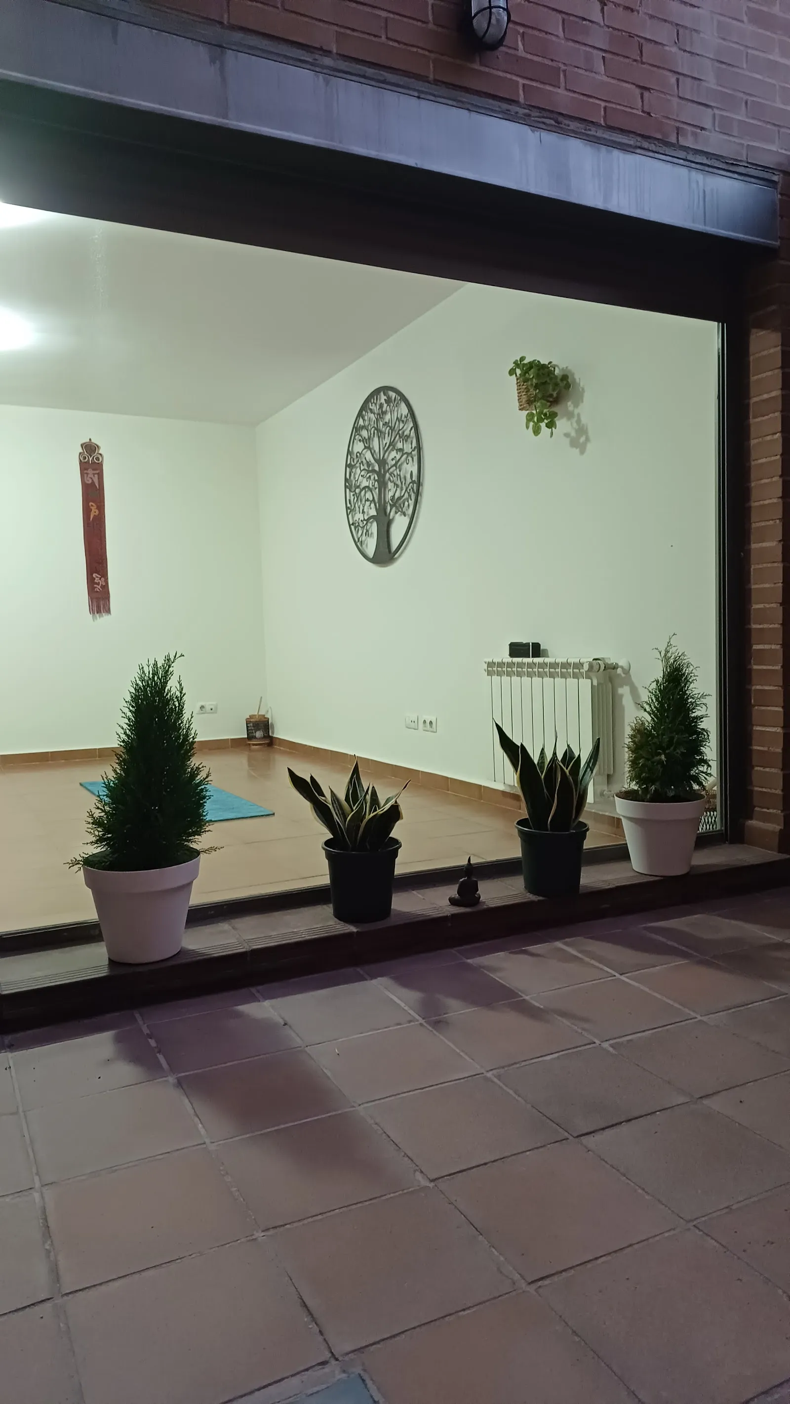 Mery Does Yoga — yoga-studio en Nuevo Bercial, Getafe — 2