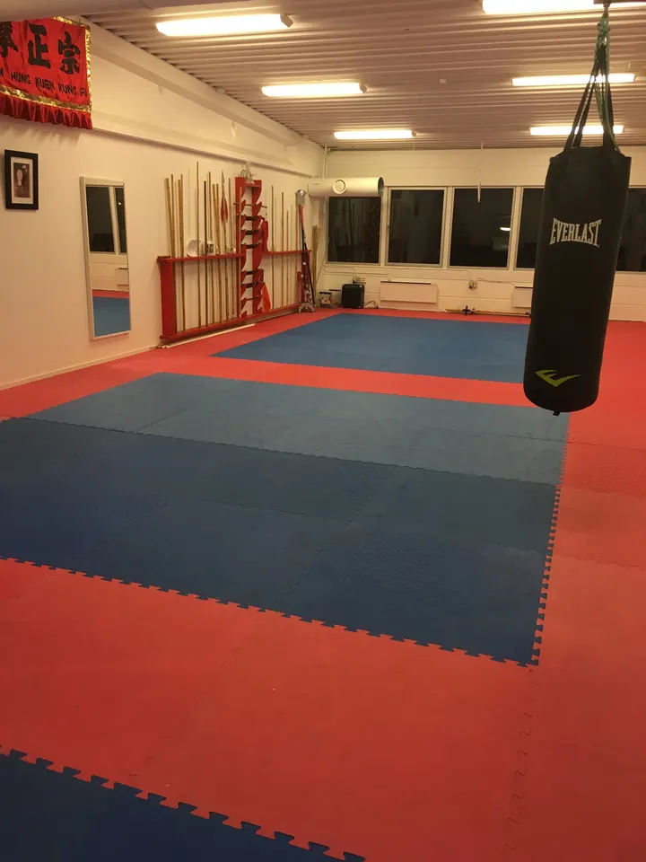Boxaspen Hung Kuen Kung Fu — Kampsport i Flaktveit, Bergen