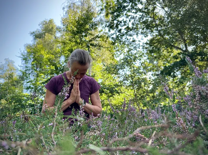 Gilleleje Hot Yoga — yoga-studio i Åsen, Gilleleje — 3