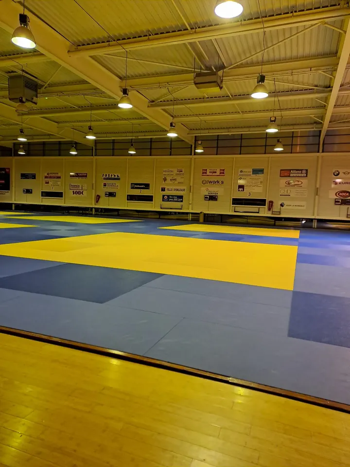 U.S Orléans Loiret Judo Jujitsu — jjb-studio à Orléans — 2