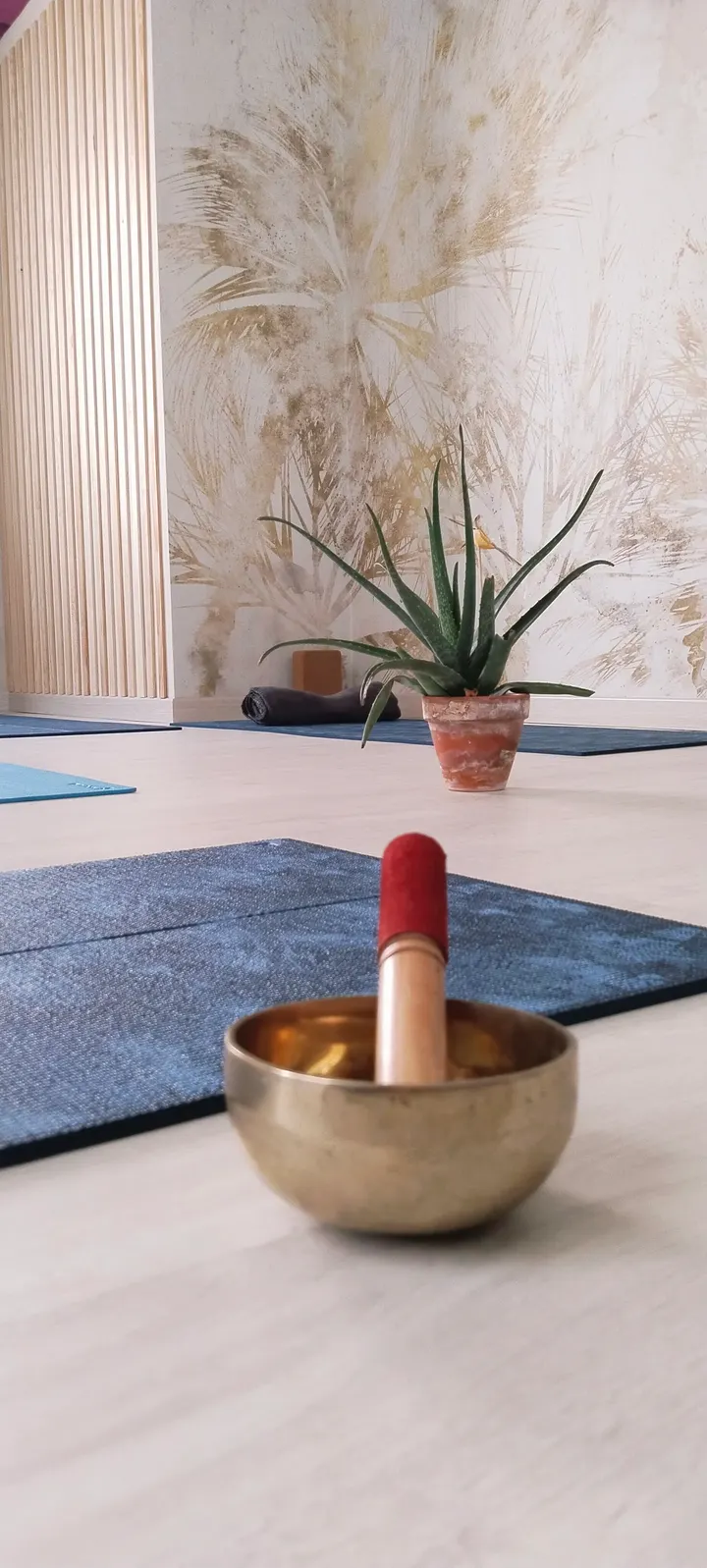 Estudio de pilates Isabell Alvarez — pilates-studio en Oviedo — 3