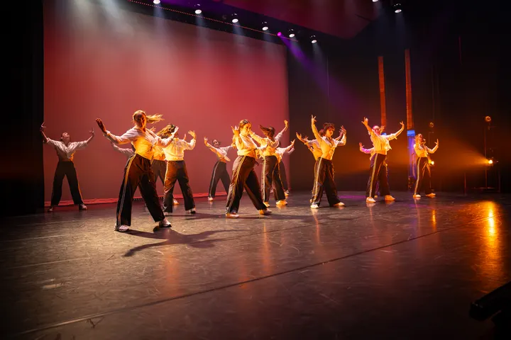 TSDV DanceNation — dans-studio in West, Tilburg — 3