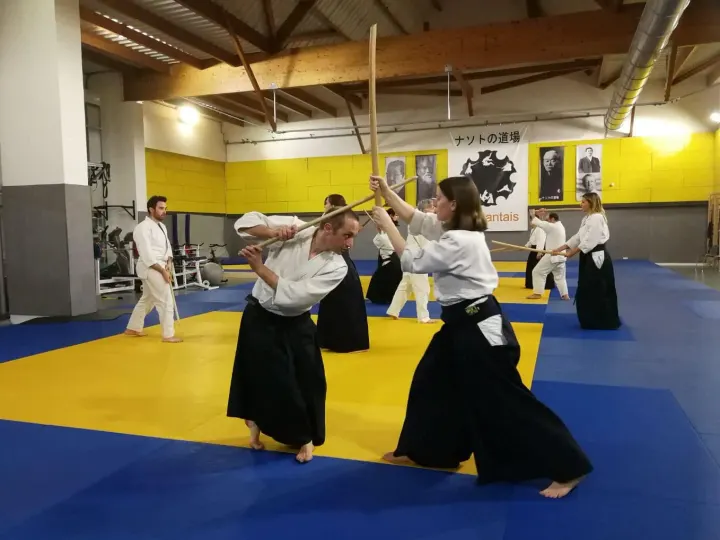 Dojo Nantais - École Saint-Nicolas — arts martiaux-studio à Nantes — 5
