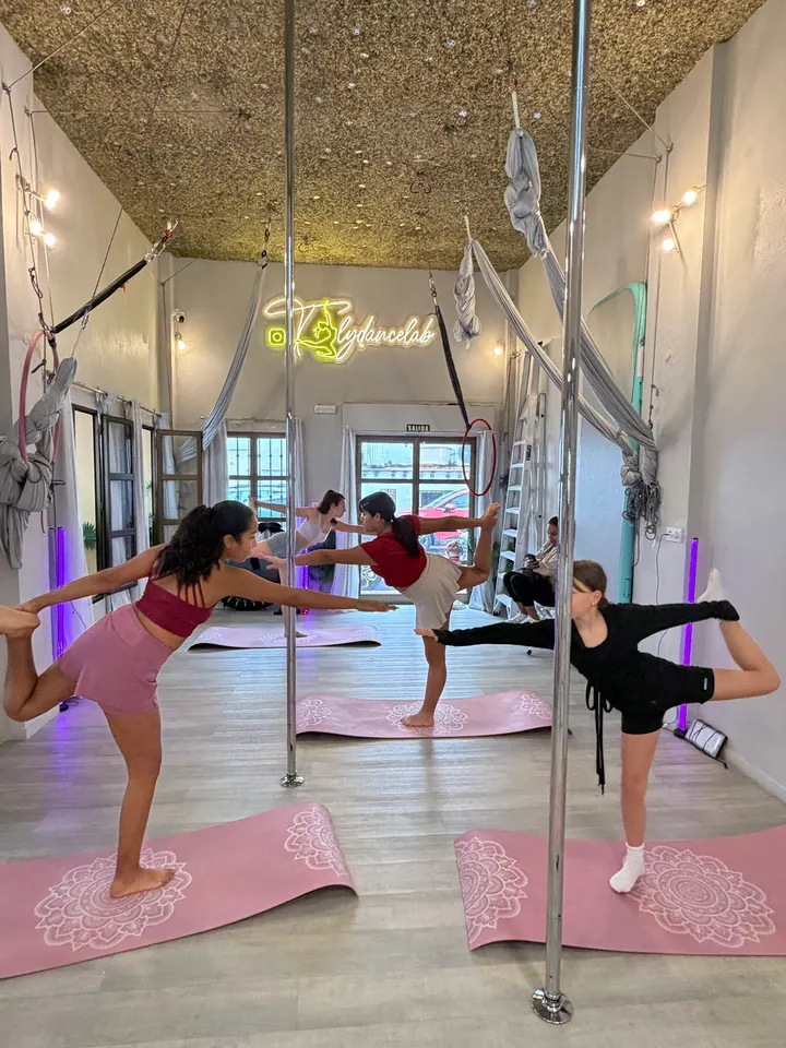 Flydancelab — Baile en Balcones del Mar, Estepona