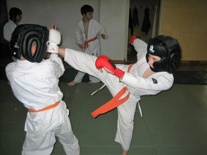 Dojo Valettois — Arts martiaux à La Valette-du-Var