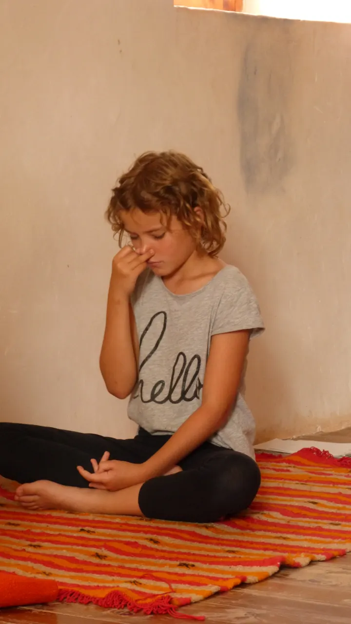 Yoga Traditionnel — yoga-studio à Grenoble — 3