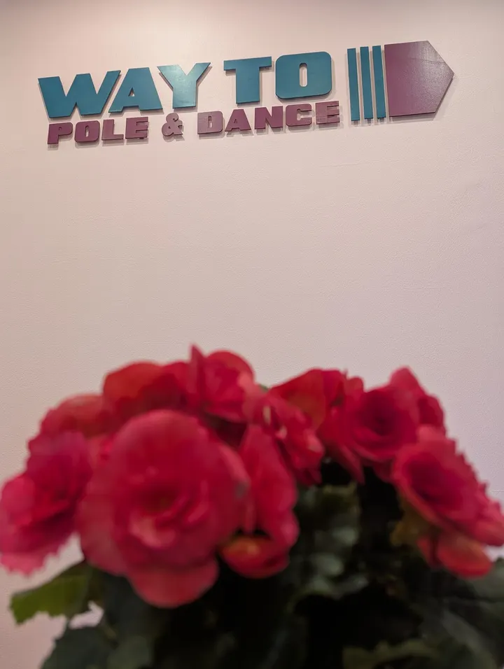 Way to Pole & Dance — pole fitness-studio in Berlin — 4