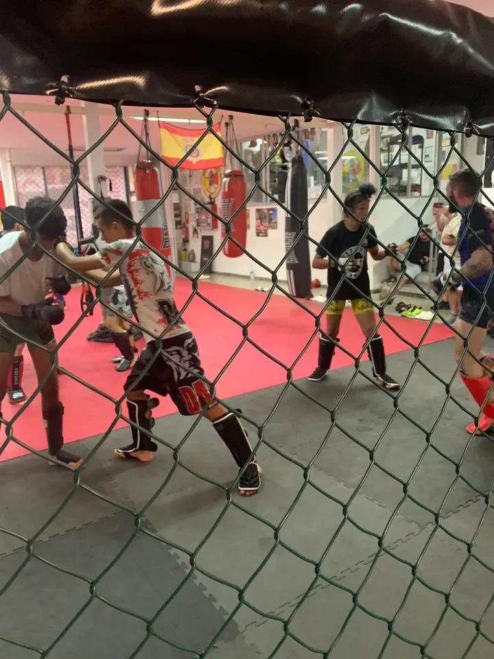 Meguro Castilla MMA — artes marciales-studio en Guadalajara — 4