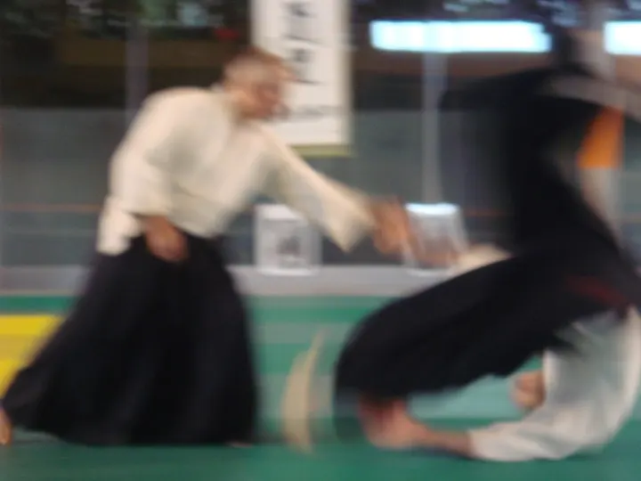 CAMPUS AIKIDO — arts martiaux-studio à Talence, Bordeaux — 3