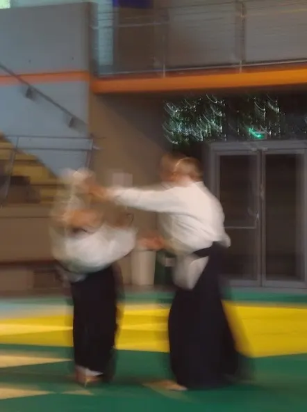 CAMPUS AIKIDO — arts martiaux-studio à Bordeaux — 3