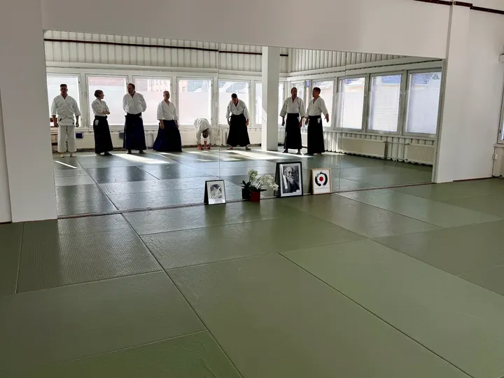 Turku Aikikai ry — Kamppailulajit – IX, Turku