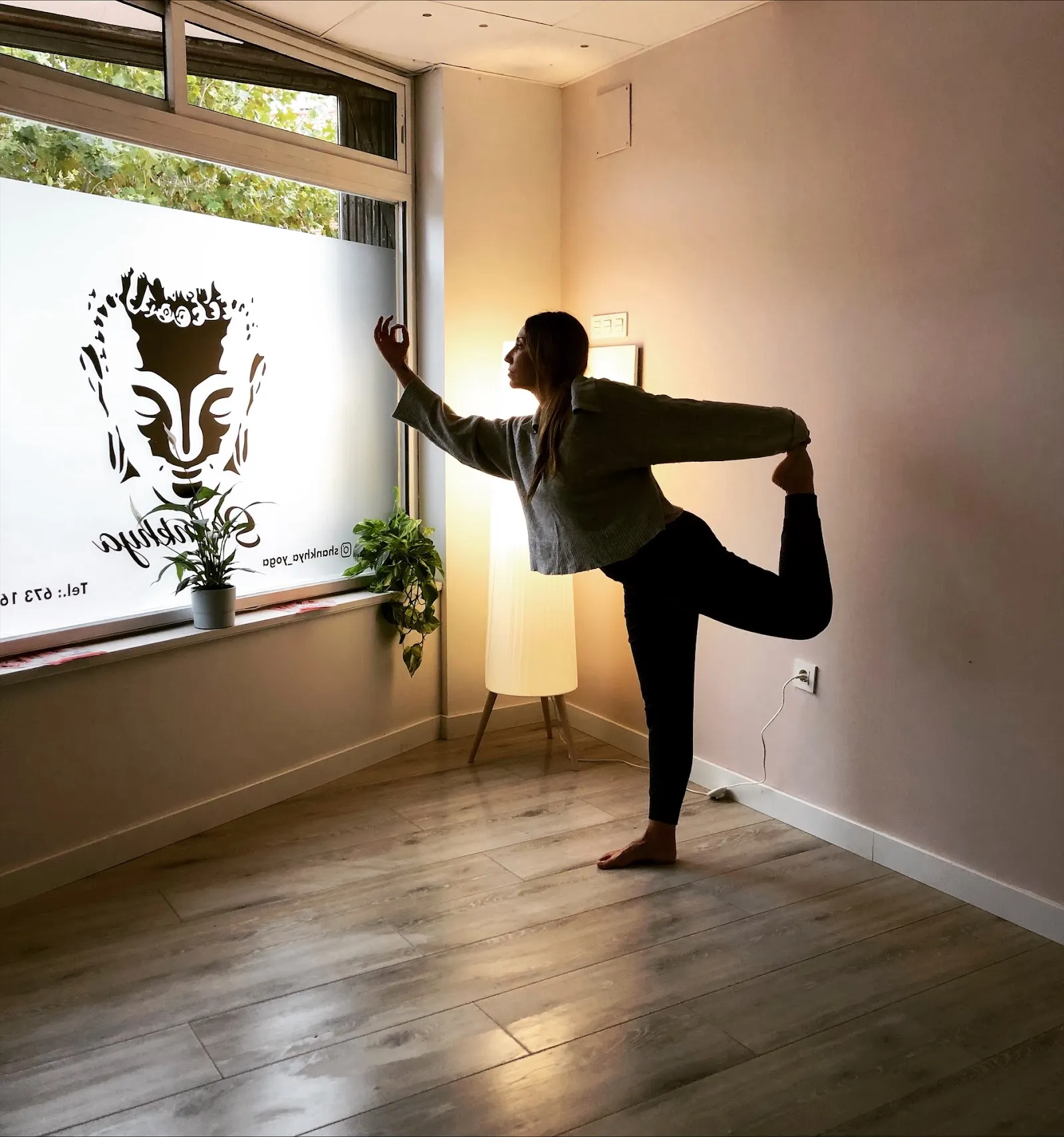 shankhya yoga — yoga-studio en Laguna de Duero — 2