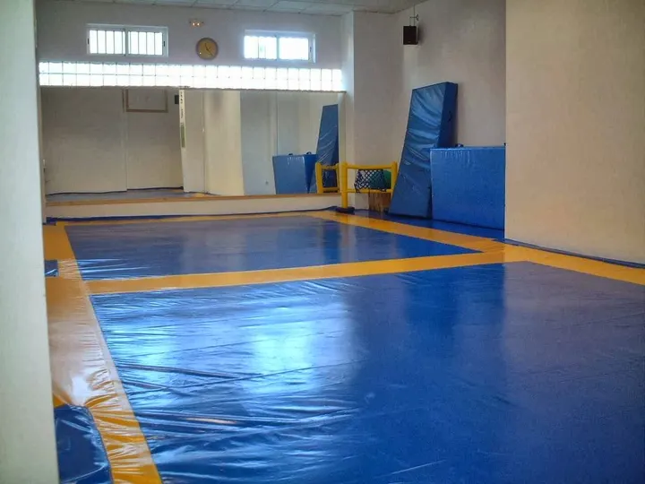 Club de Judo Enrique Palacios — artes marciales-studio en Valverde - Ciudad Jardín, Badajoz — 3