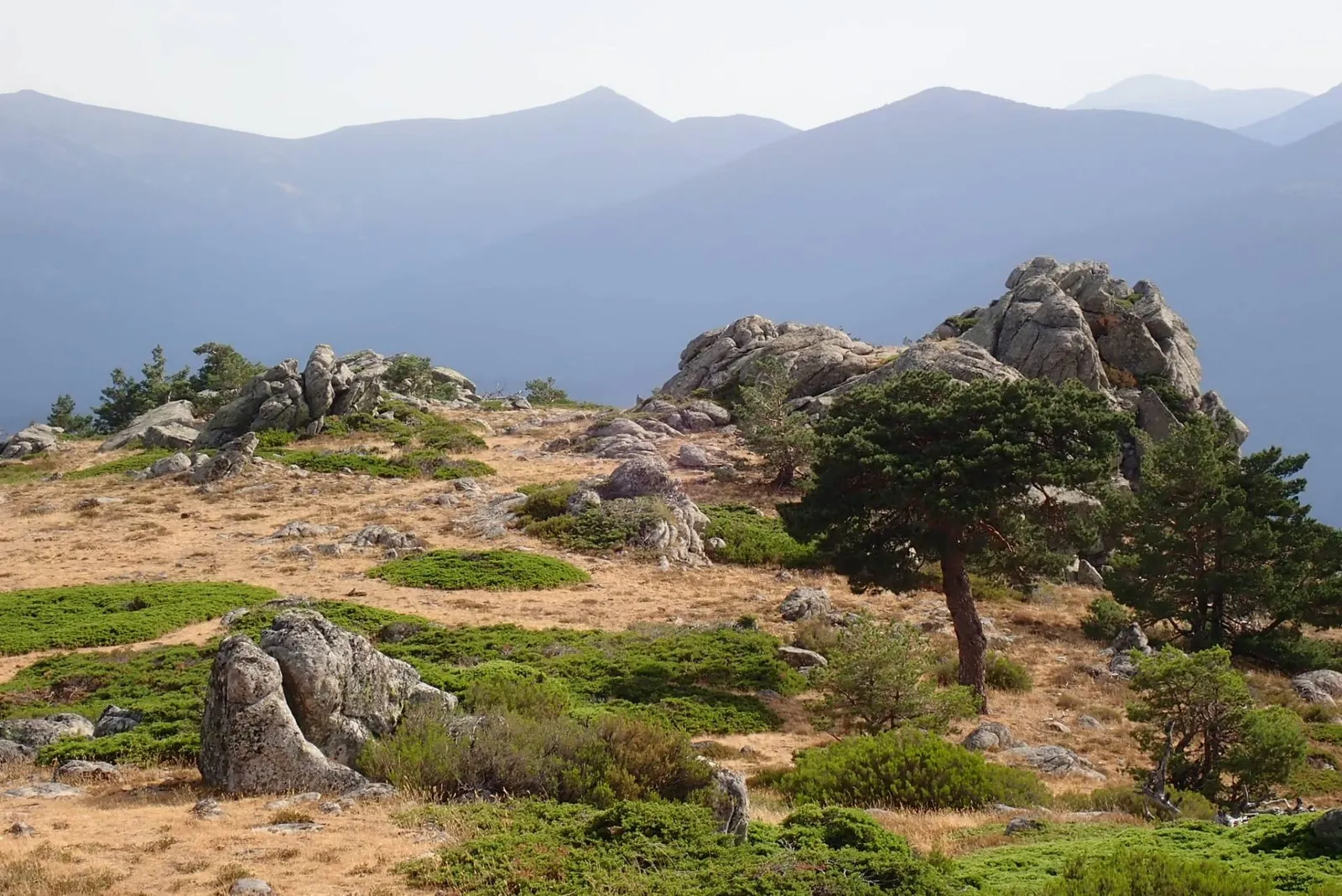 MBSR - Mindfulness Vivendi — meditación-studio en Tetuán, Madrid — 2