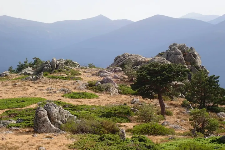 Mindfulness Vivendi — meditación-studio en Tetuán, Madrid — 2