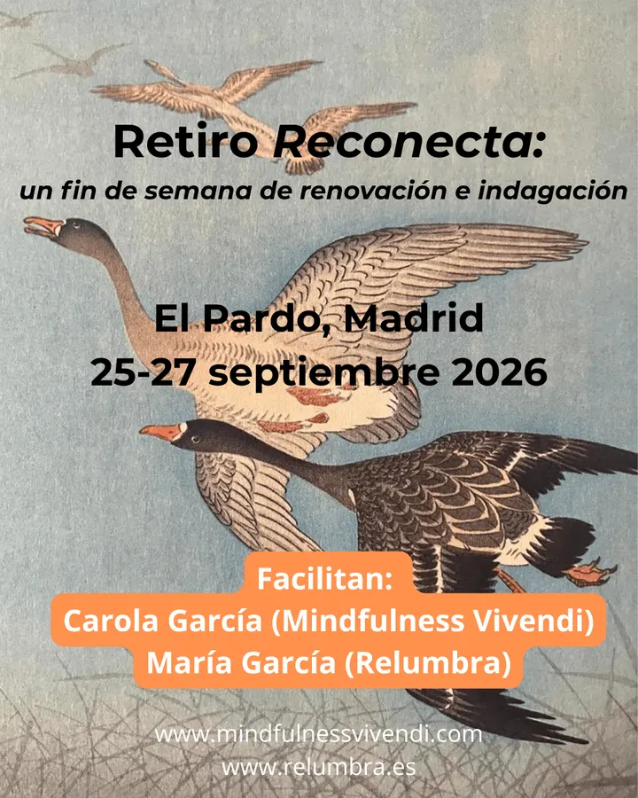Mindfulness Vivendi — meditación-studio en Tetuán, Madrid — 3