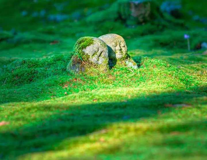 Mindfulness Vivendi — meditación-studio en Madrid — 5