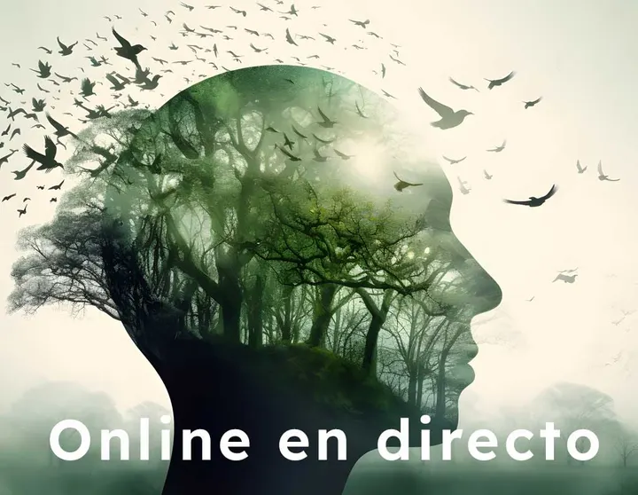 MBSR - Mindfulness Vivendi — Breathwork en Tetuán, Madrid