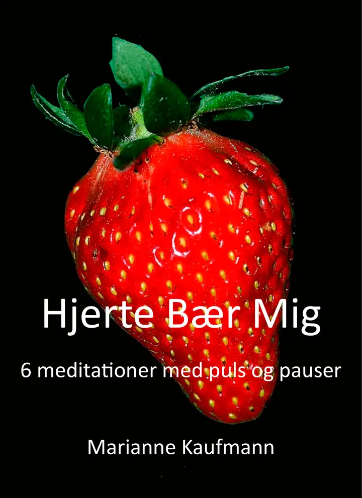 Reiki Healing Midtjylland — meditation-studio i Søndermarken, Viborg