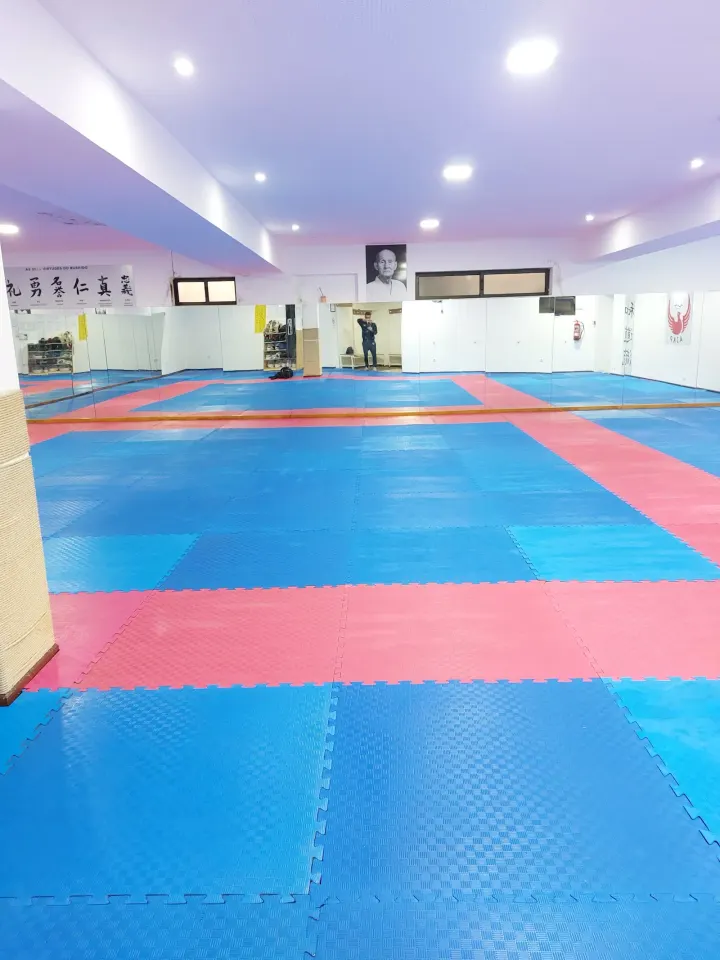 AJKP — Artes marciais em Além, Guimarães