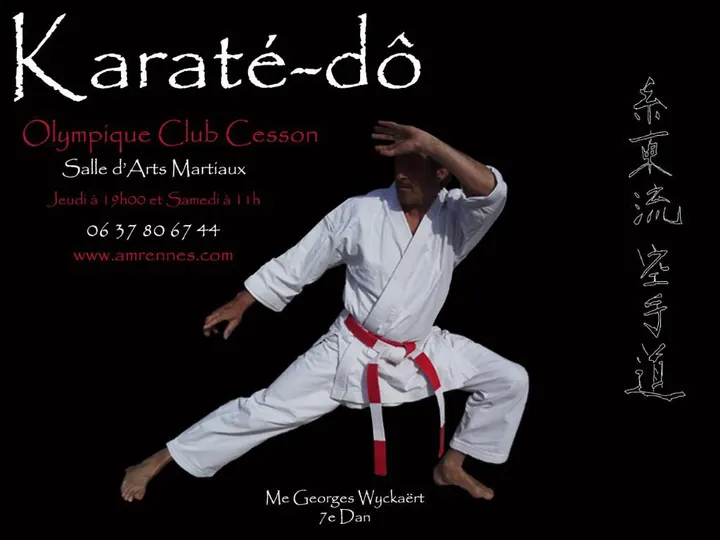 Karaté Club de Cesson — arts martiaux-studio à Rennes — 4