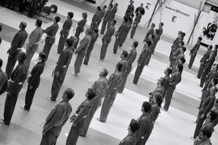 Vovinam Viet Vo Dao Toulouse - Argoulets — Arts martiaux à Jolimont / Soupetard / Roseraie / Gloire / Gramont / Amouroux, Toulouse