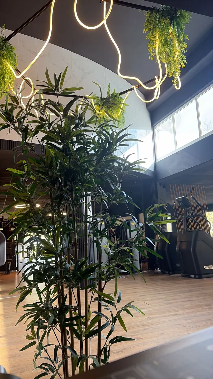 EL GYM — fitnessstudio in Aschaffenburg — 3