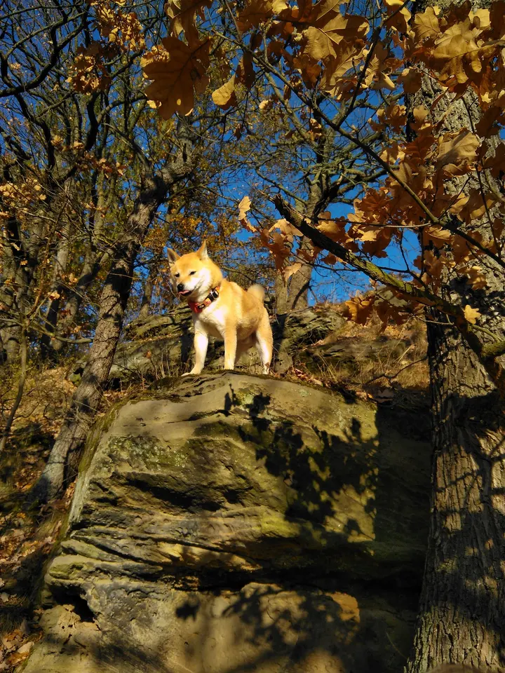 Rabenschüssel Boulderspot — Bouldern in Maua, Jena