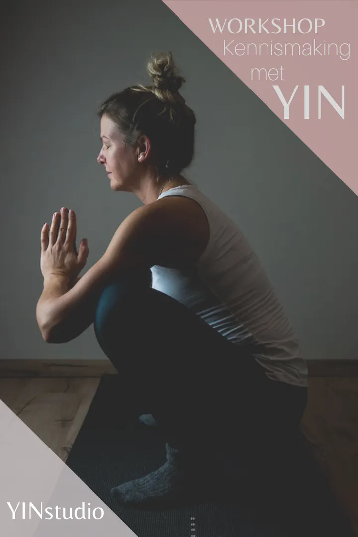 YINstudio — yoga-studio in Bargeres, Emmen — 3