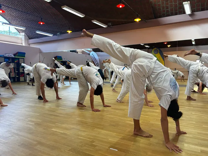 Lsc Capoeira Herança Italia (Parma) — arti marziali-studio a Parma — 3
