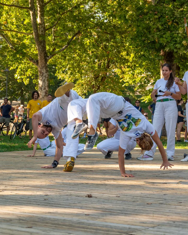 Lsc Capoeira Herança Italia (Parma) — arti marziali-studio a Parma — 5