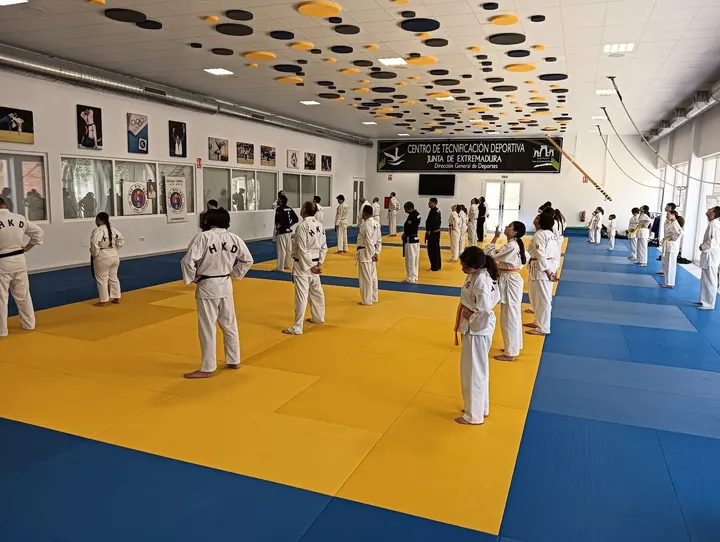 HAPKIDO JOHWA — Artes marciales en Reyes Huertas, Cáceres