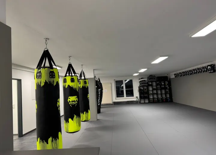 Millennium Fight Club — MMA in Bonn