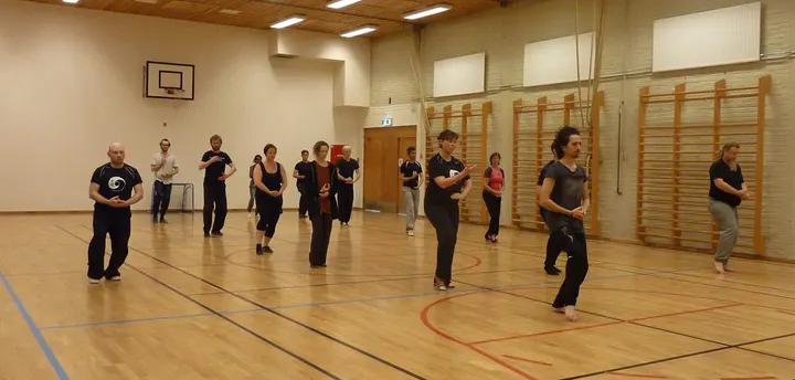 Sort Drage Taijiquanklubb — Kampsport i Skansemyren, Bergen
