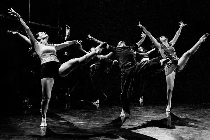 Studio Vie et Danse — Danse à Gerland, Lyon
