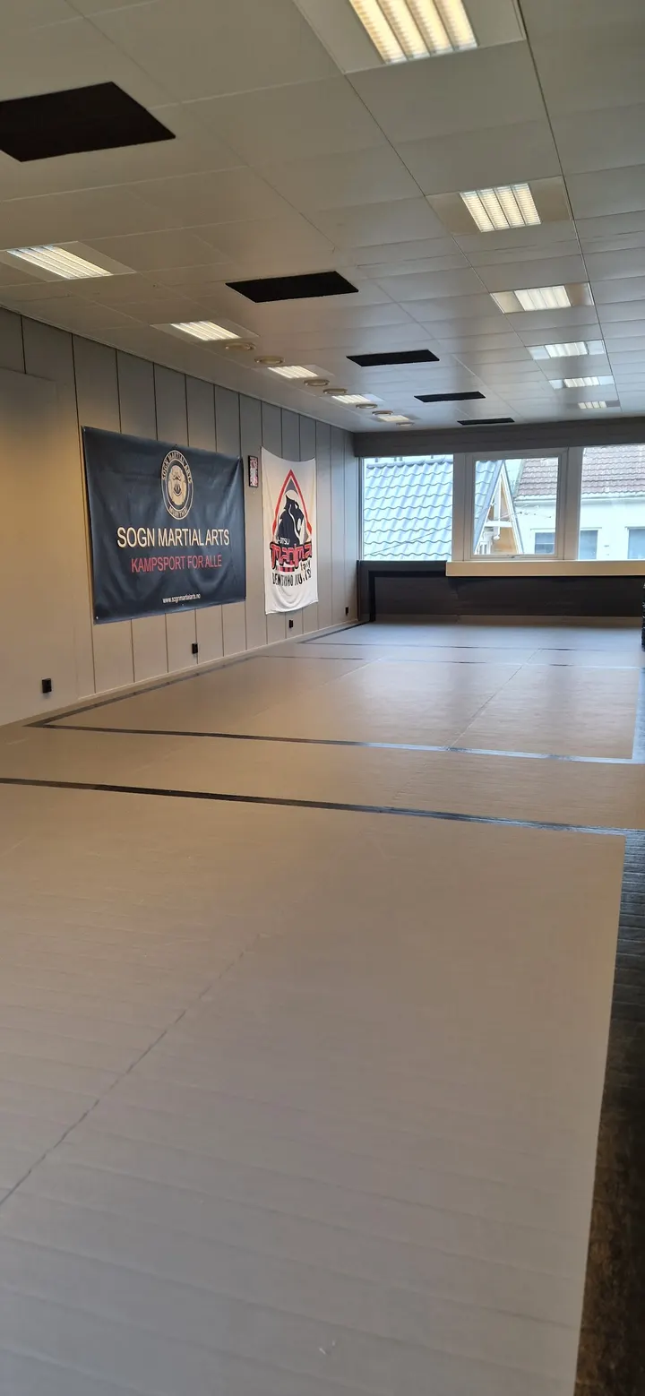 Sogn Martial Arts — kampsport-studio i Sogndalsfjøra — 4