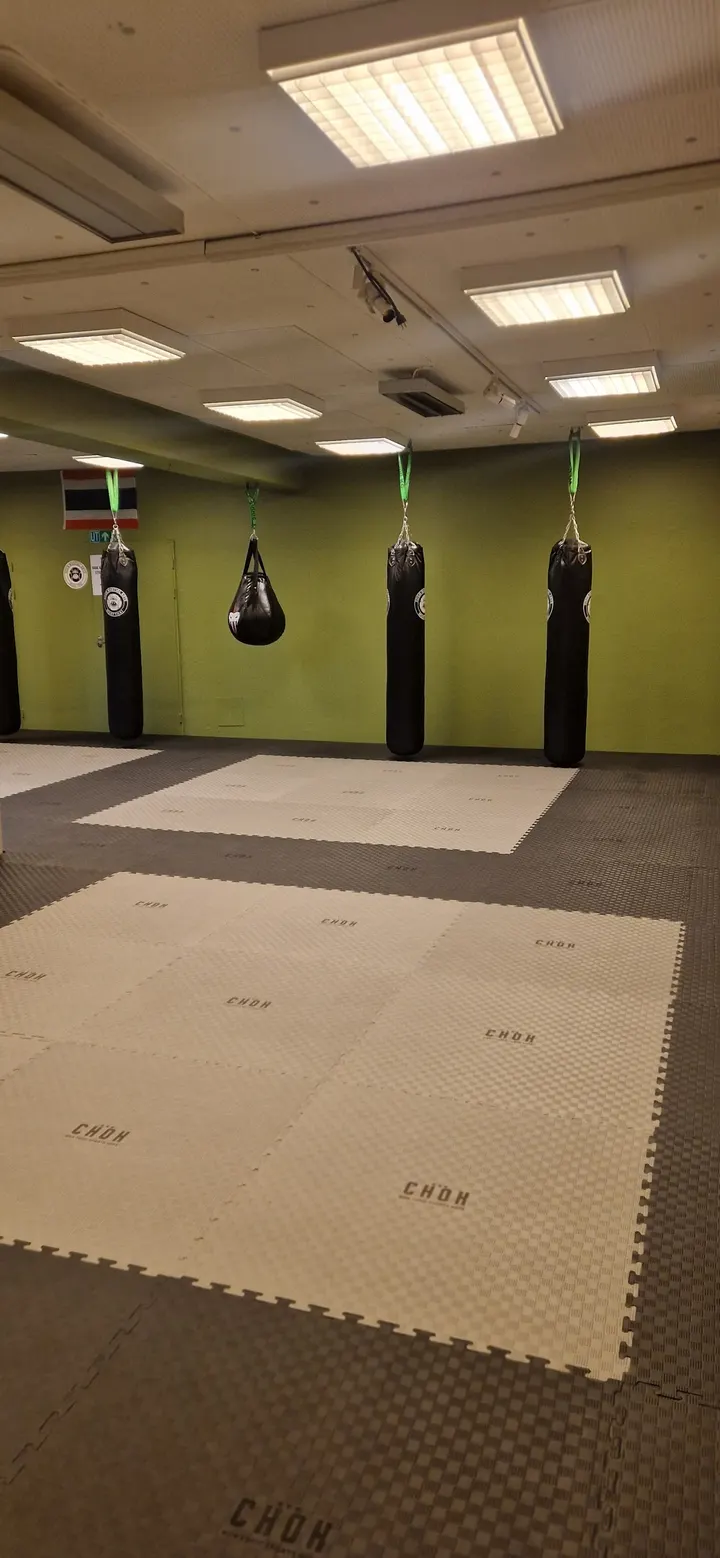 Sogn Martial Arts — kampsport-studio i Sogndalsfjøra — 5