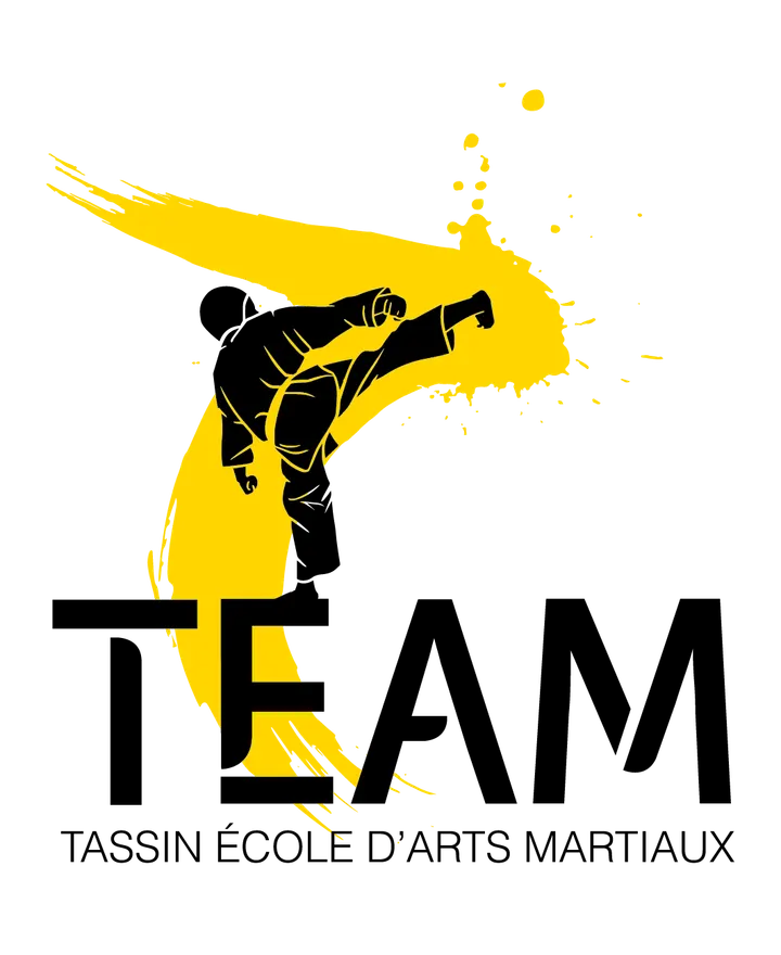 TEAM Karaté — arts martiaux-studio à Lyon — 5