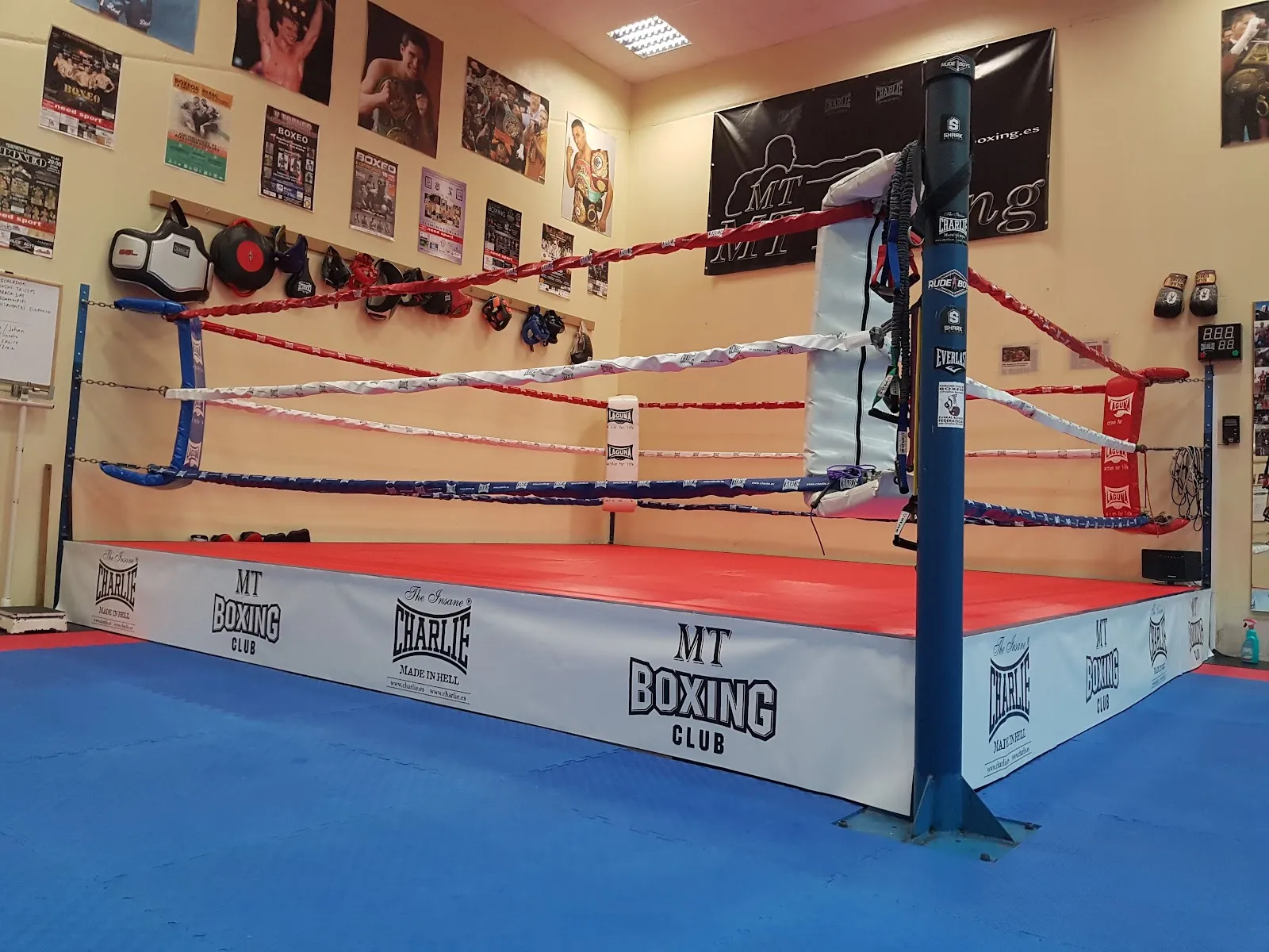 MT BOXING Sestao — artes marciales-studio en Sestao — 5