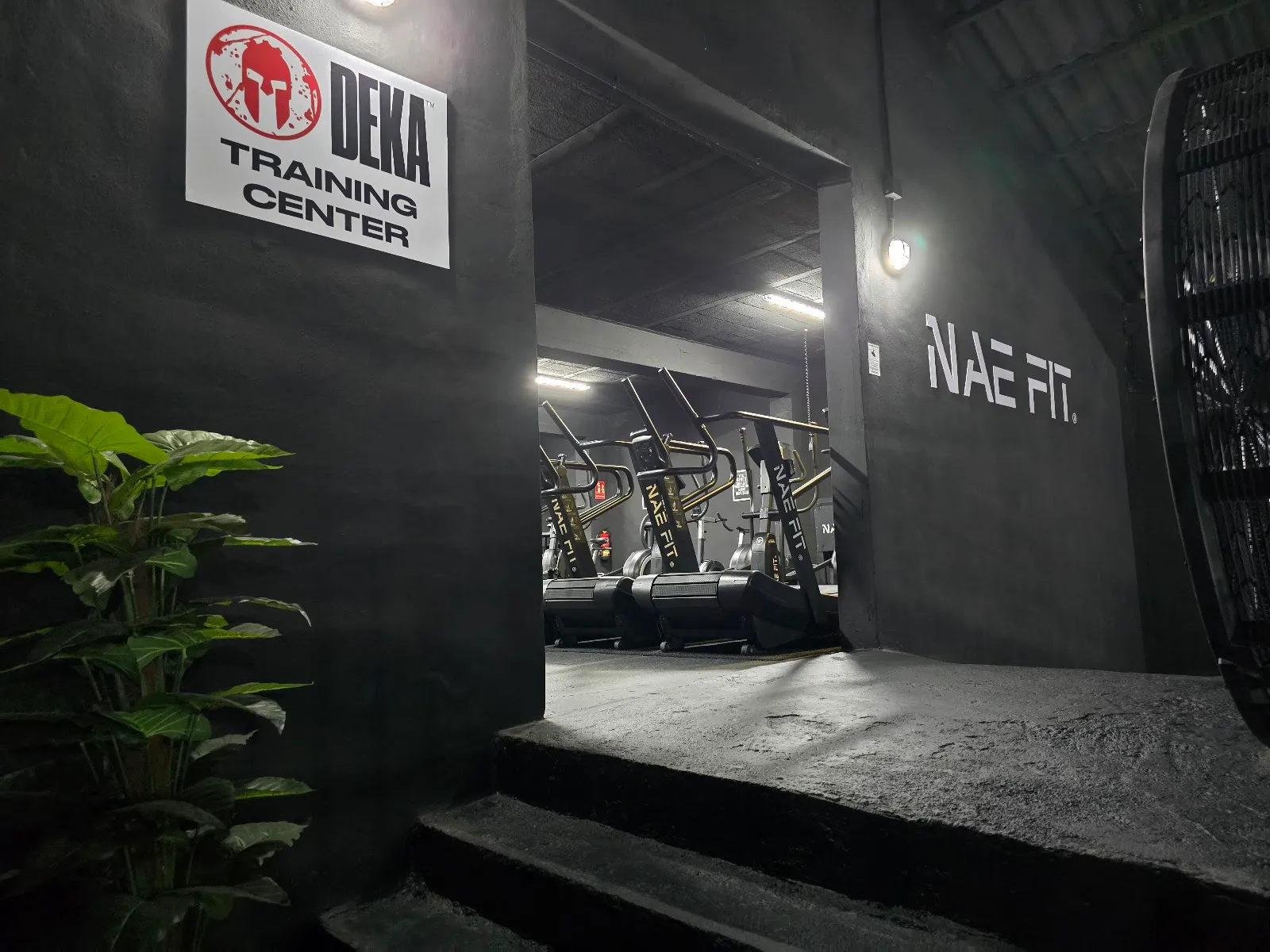 Nae Fit — estudio de fitness-studio en Icod de los Vinos — 3