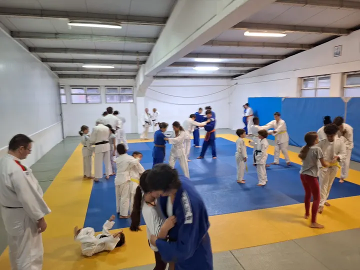 Judokai — Artes marciais em Sintra