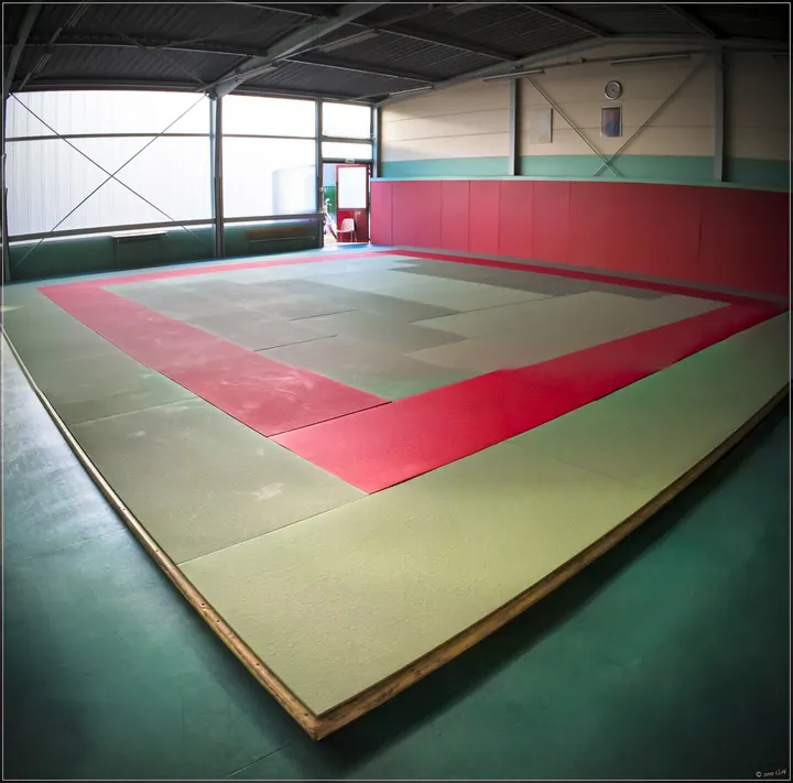 Systema VO Ecole de du Plessis-Bouchard — arts martiaux-studio au Plessis-Bouchard, Paris — 2