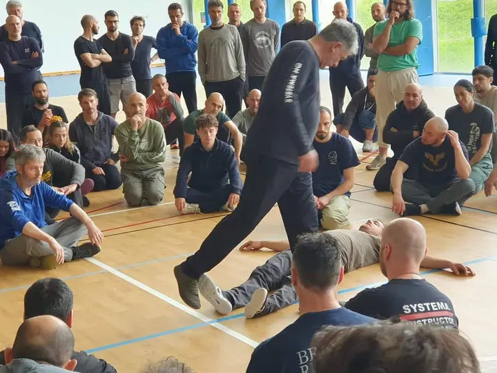 Systema VO Ecole de du Plessis-Bouchard — arts martiaux-studio à Paris — 4